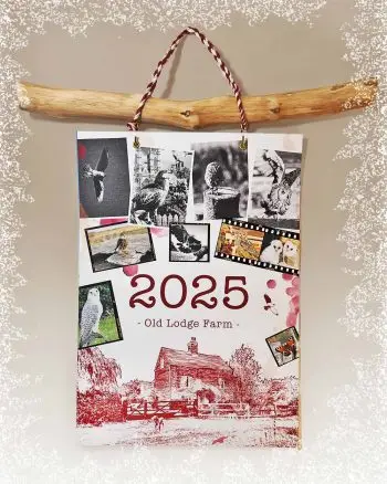 Wall Calendar 2025